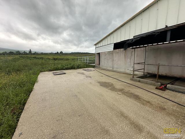 33-GSN GAYRİMENKUL'DEN AVRUPA STANDARTLARINDA RUHSATLI BESİÇİFTLİĞİ